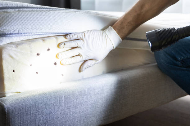Best Local Pest Control Services  in Centre Hall, PA