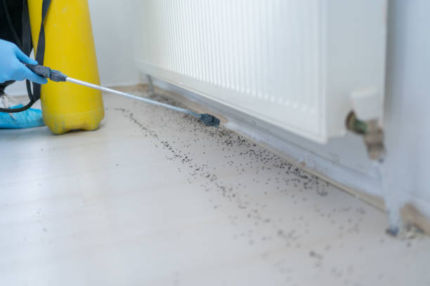 Best Ant Control Services  in Centre Hall, PA